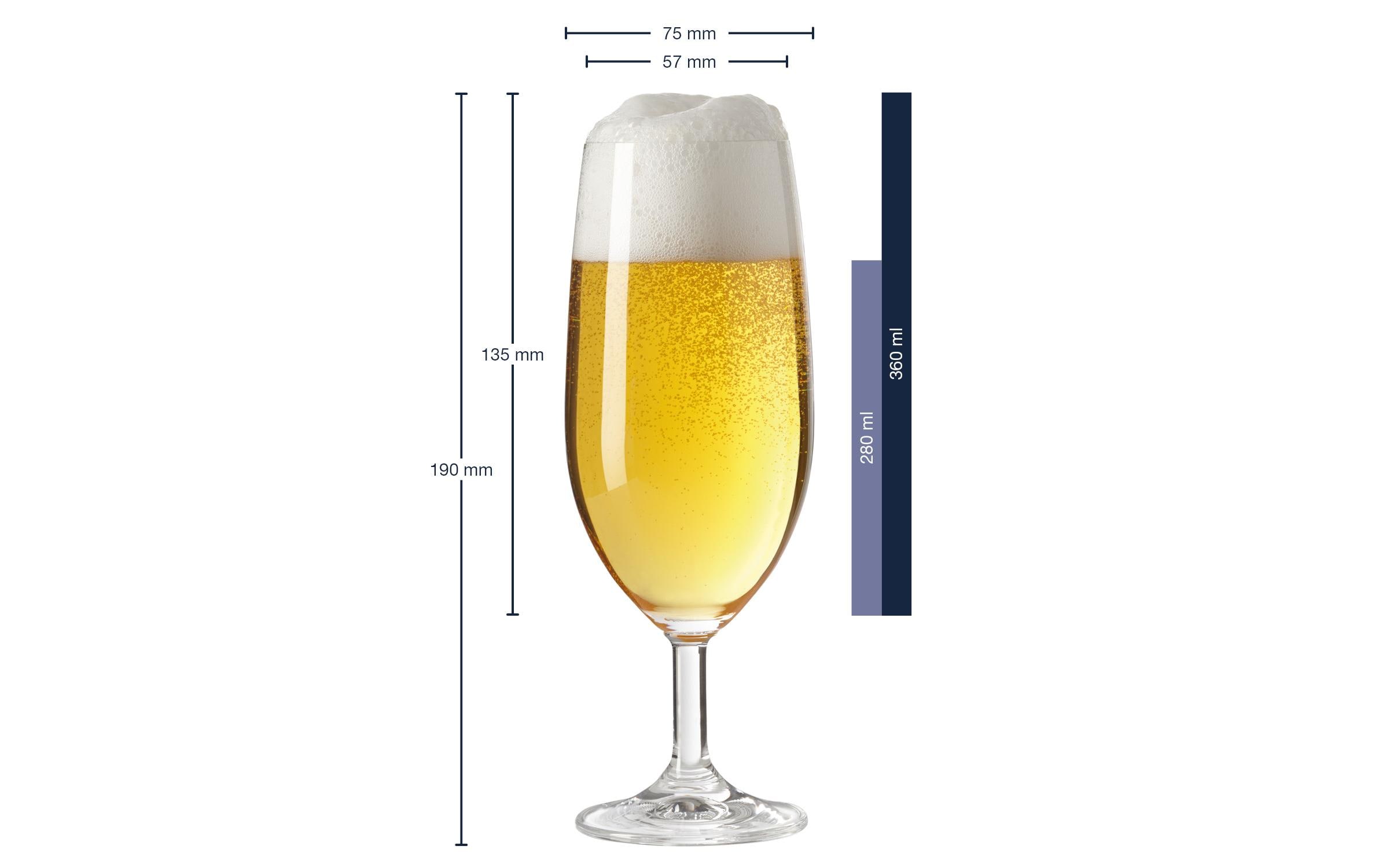 Leonardo Bierglas Daily 280 ml, 6 Stück, Transparent