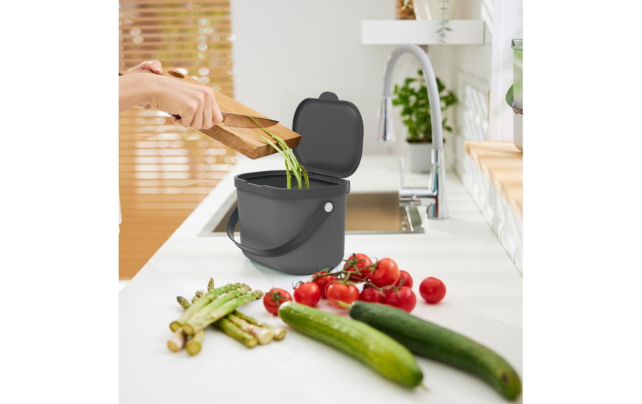 Rotho Komposteimer Albula 3.2 l, Anthrazit