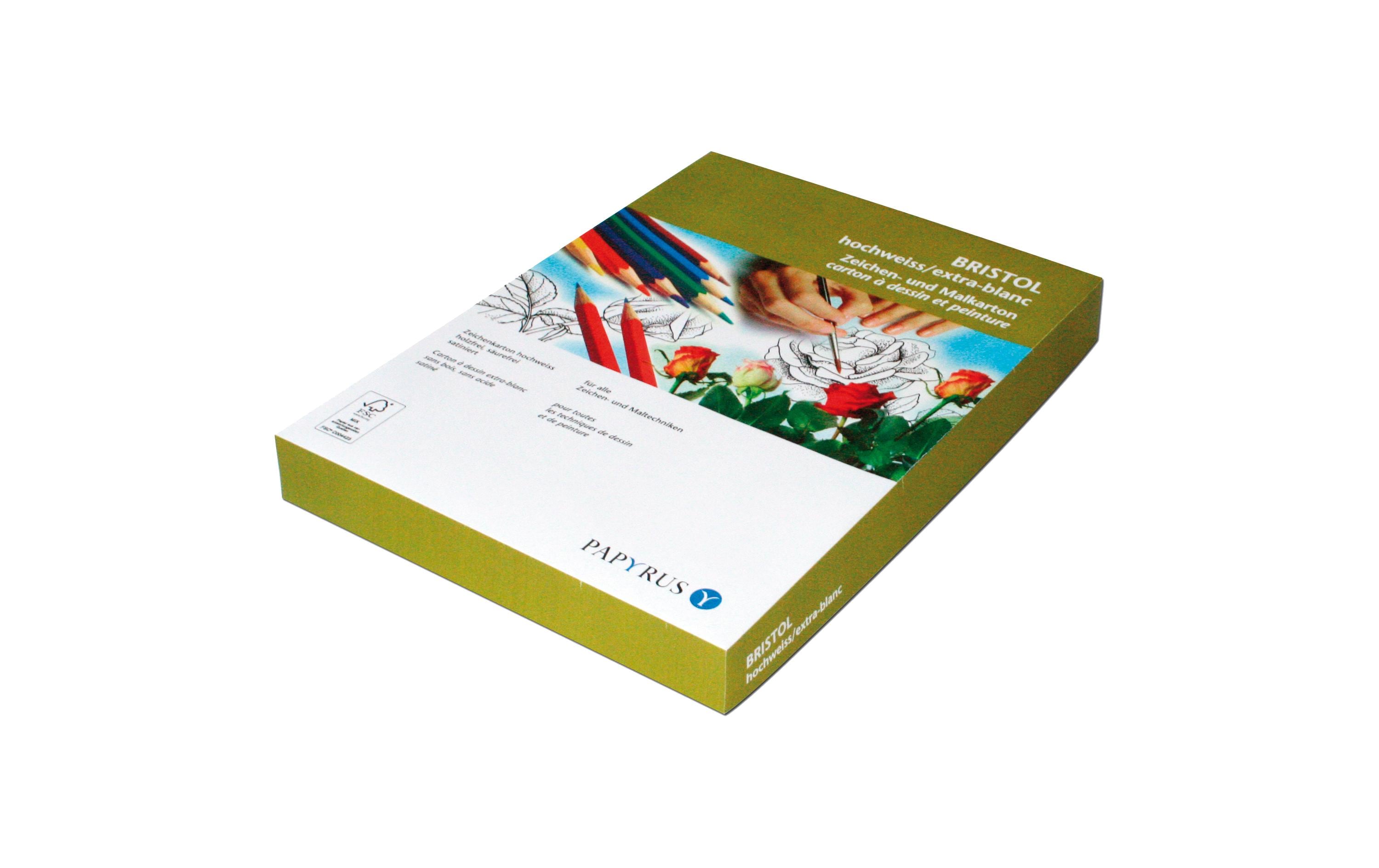 Scaldia Bastelkarton Bristol A3, 180 g/m², 250 Stück