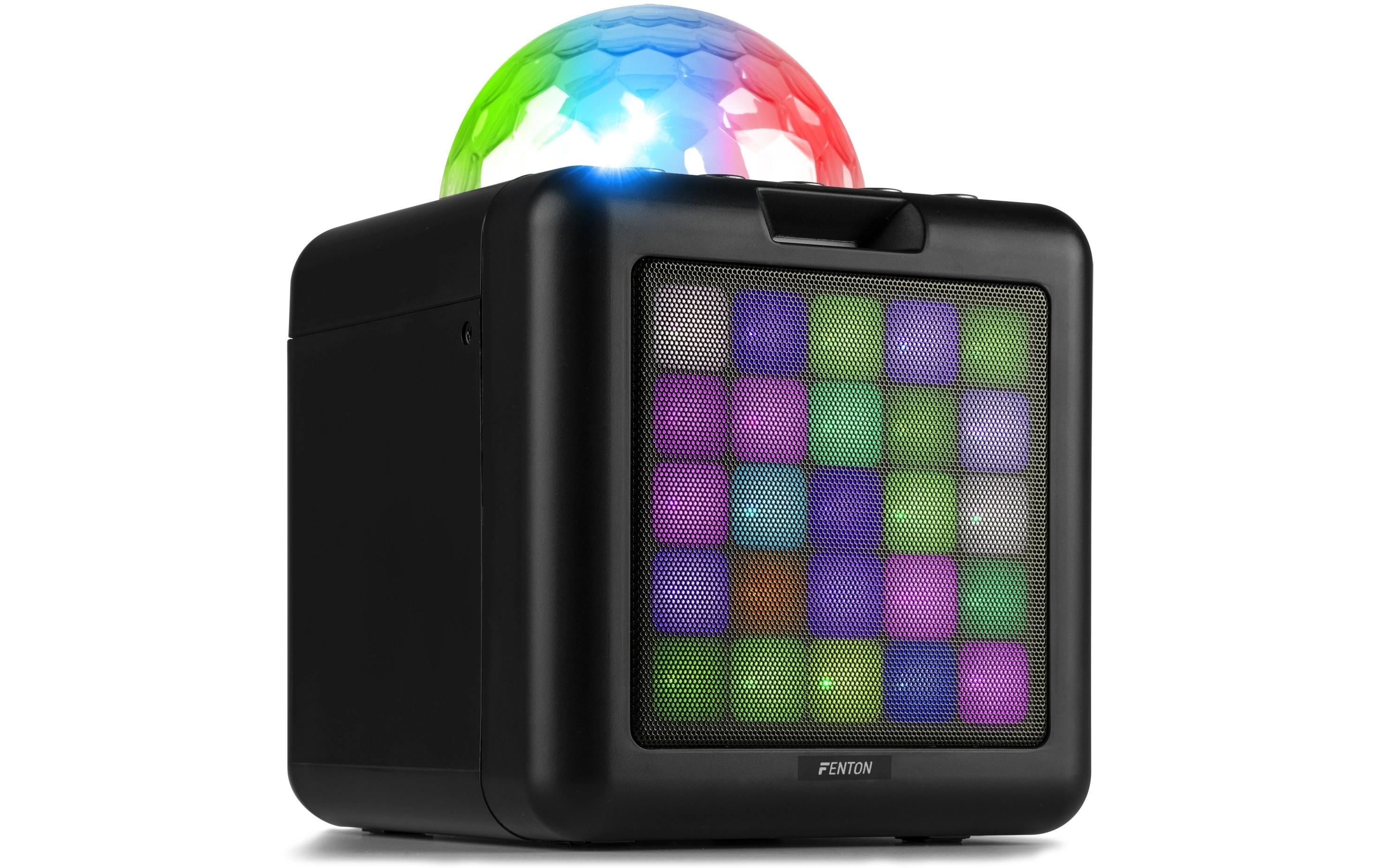 Fenton Lautsprecher KAR15B mit 2 Mikrofonen