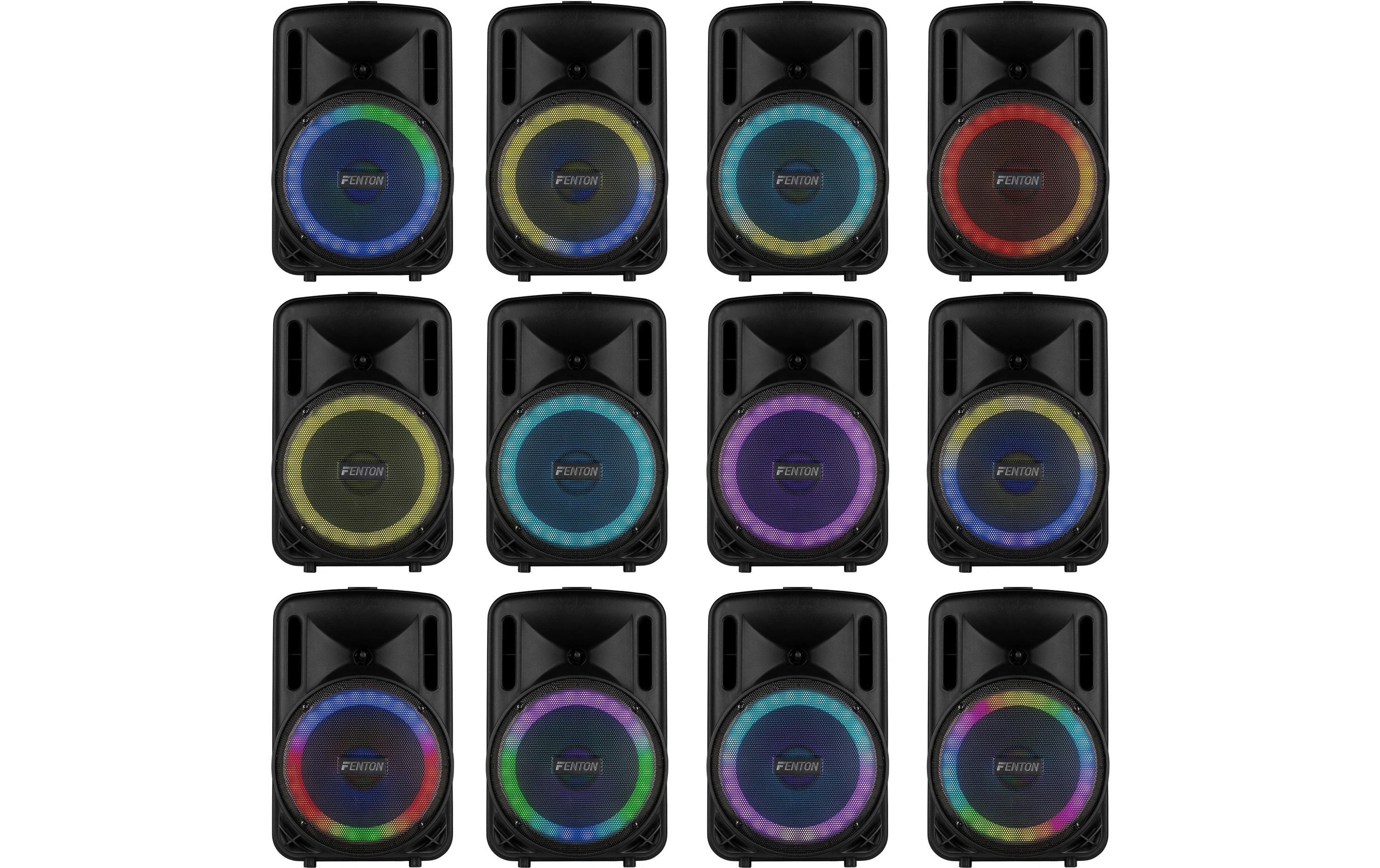 Fenton Lautsprecher FT10 LED MK2