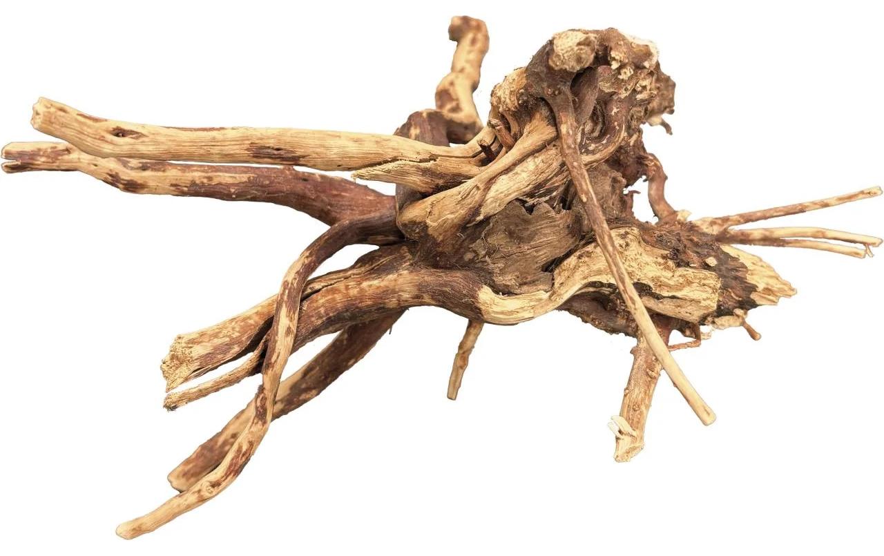 Bio Art Natürliches Spinnenholz 10-15 cm