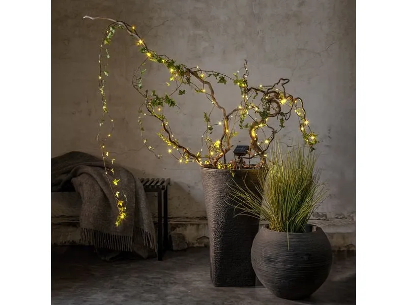 Star Trading Lichterkette Solar Dew Drop Micro, 100 LEDs, 740 cm, Grün Star Trading Lichterkette Solar Dew Drop Micro, 100 LEDs, 740 cm, Grün
