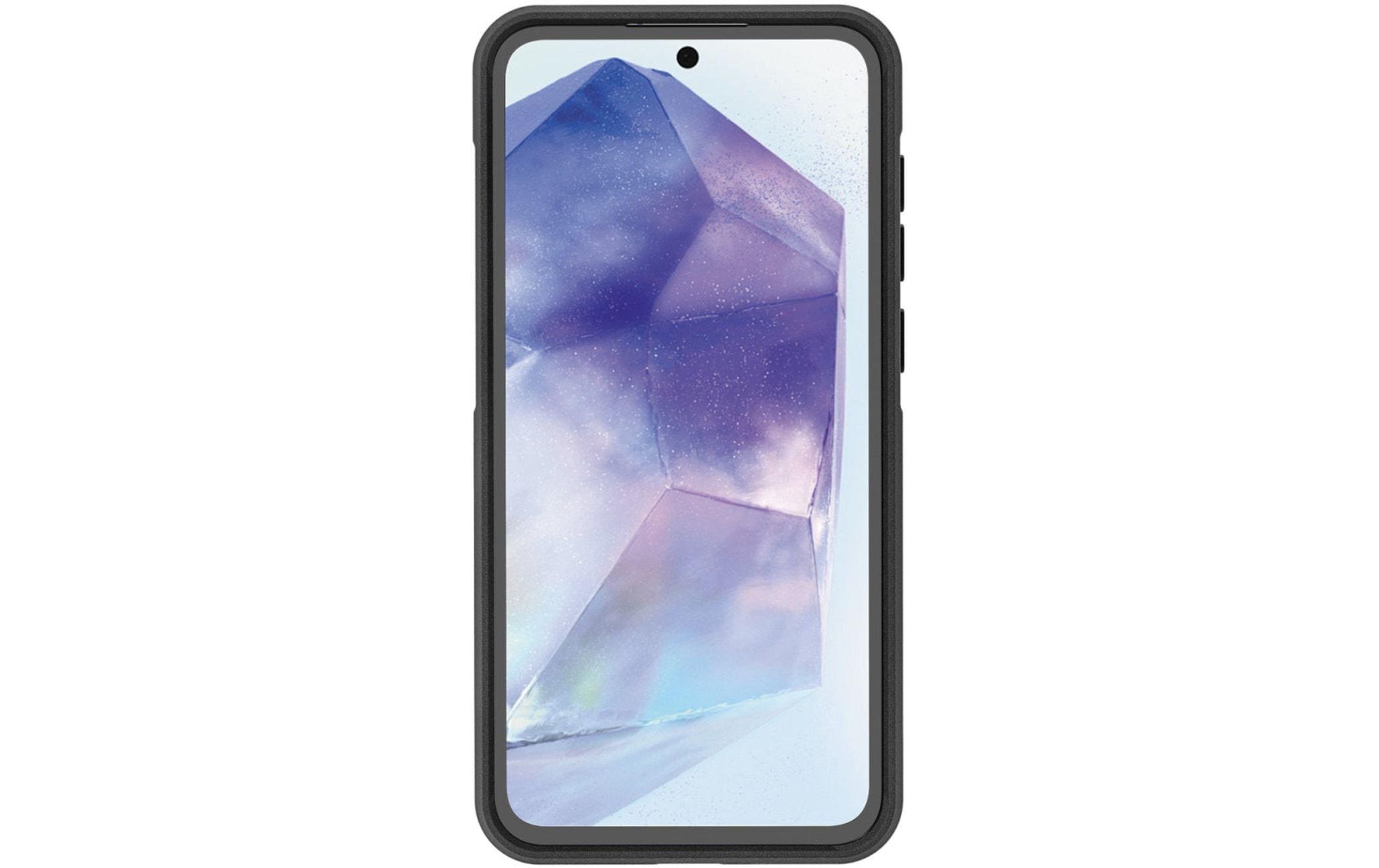 4smarts Back Cover Defend Galaxy A55 5G
