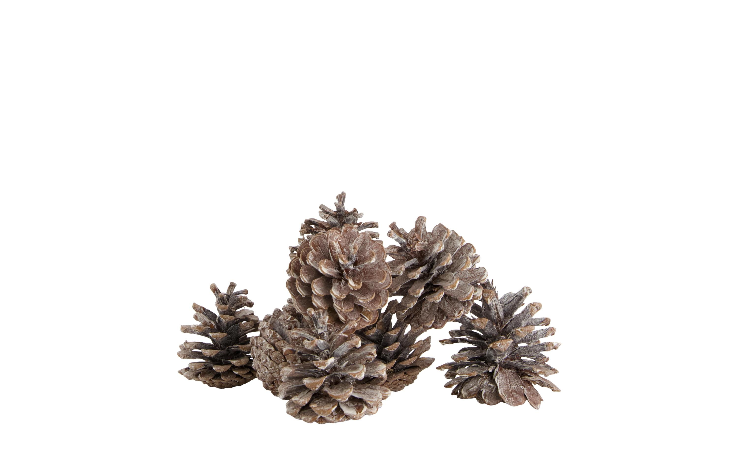 CHALET Streudeko Tannenzapfen 200 g, Braun