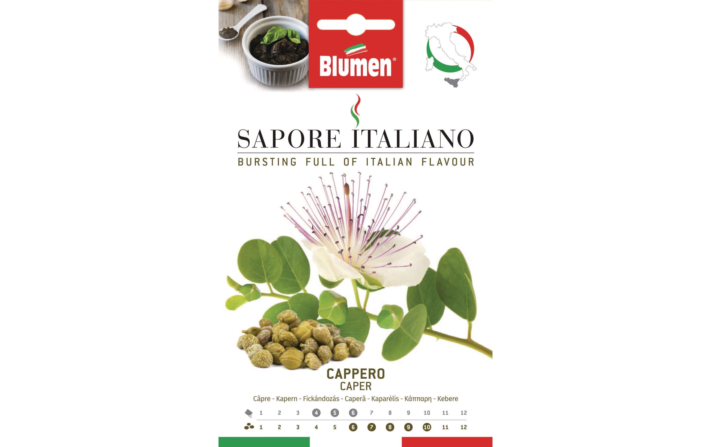 Blumen Samen Kapern Blumen Samen Kapern