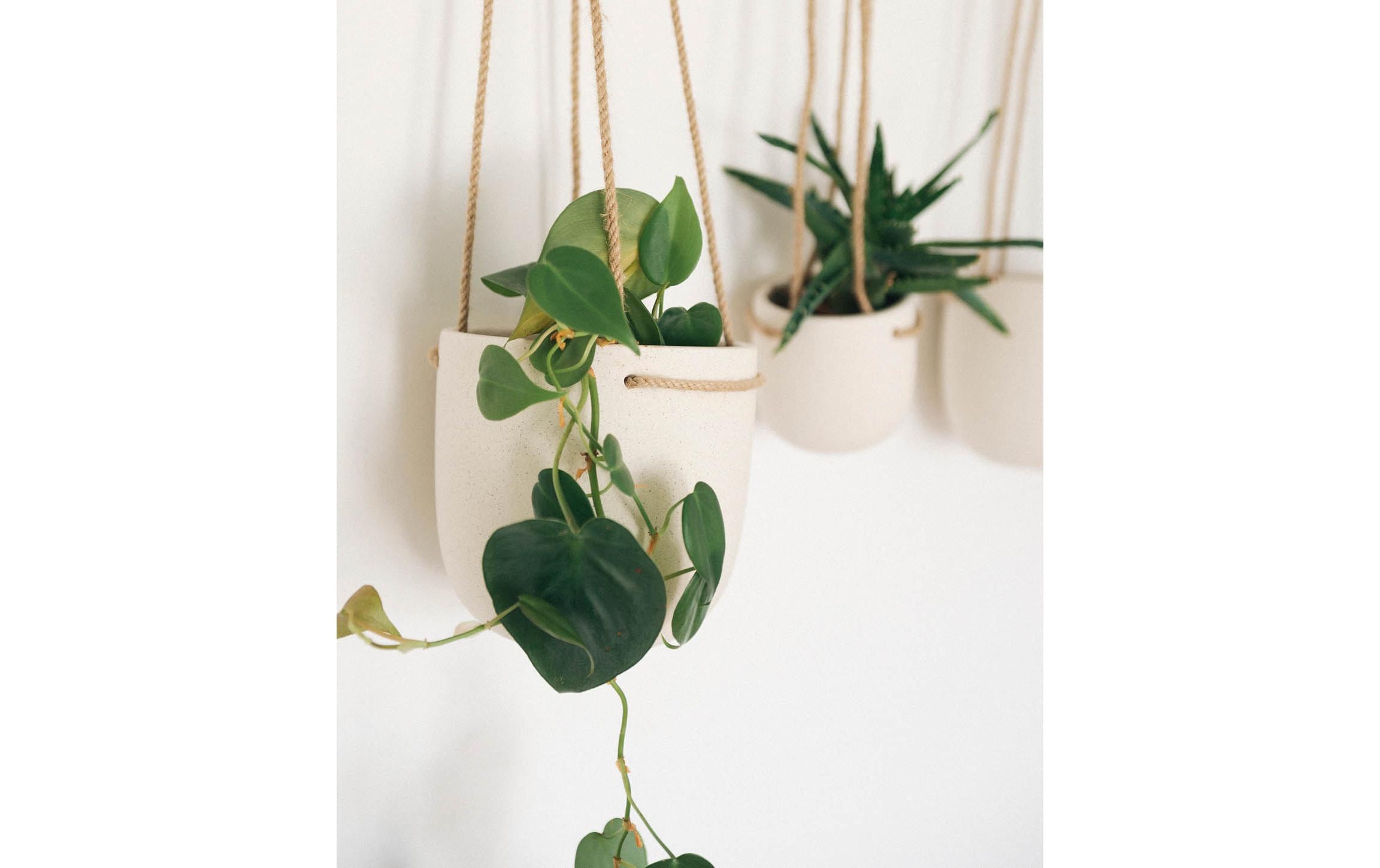 Esmée Blumentopf zum Hängen 15 cm, Beige