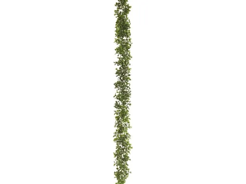 Botanic-Haus Buchsbaumgirlande Grün 180 cm