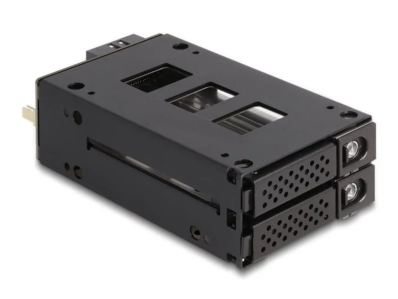 Delock Wechselrahmen Slim Bay U.2 NVMe 5.25