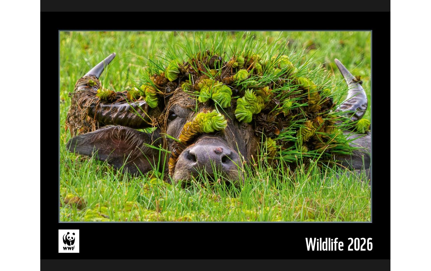 Calendaria Bildkalender 2025 WWF Wildlife Calendaria Bildkalender 2025 WWF Wildlife