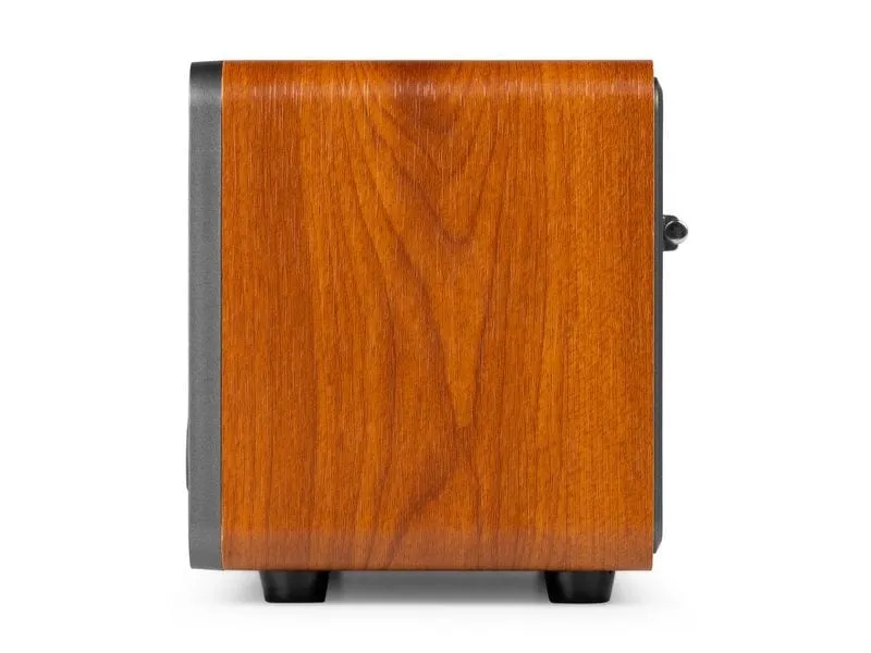 Audizio Genua-DG DAB+/FM Radio mit BT, Stereo, Grau