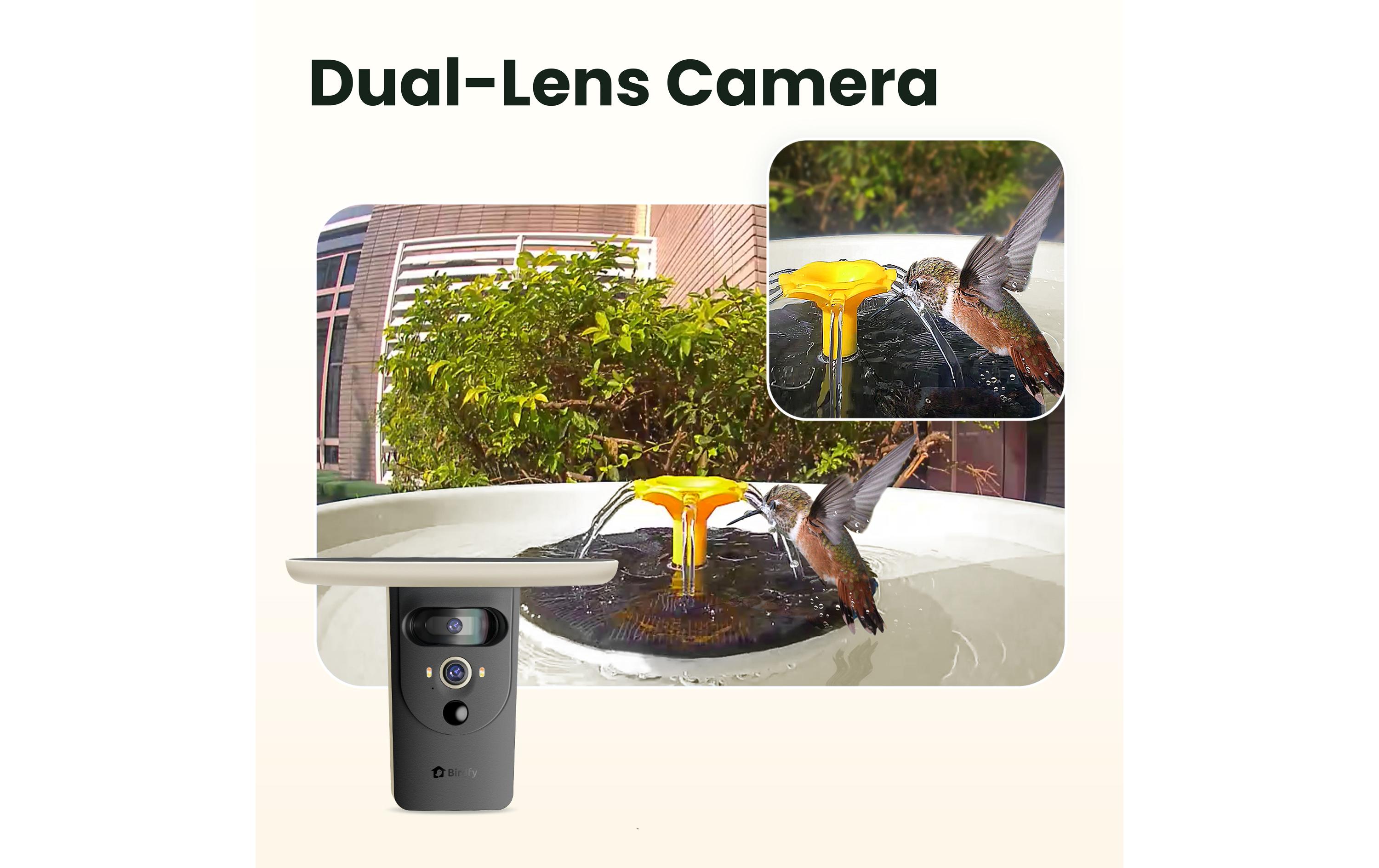 Birdfy Intelligentes Vogelbad mit Kamera