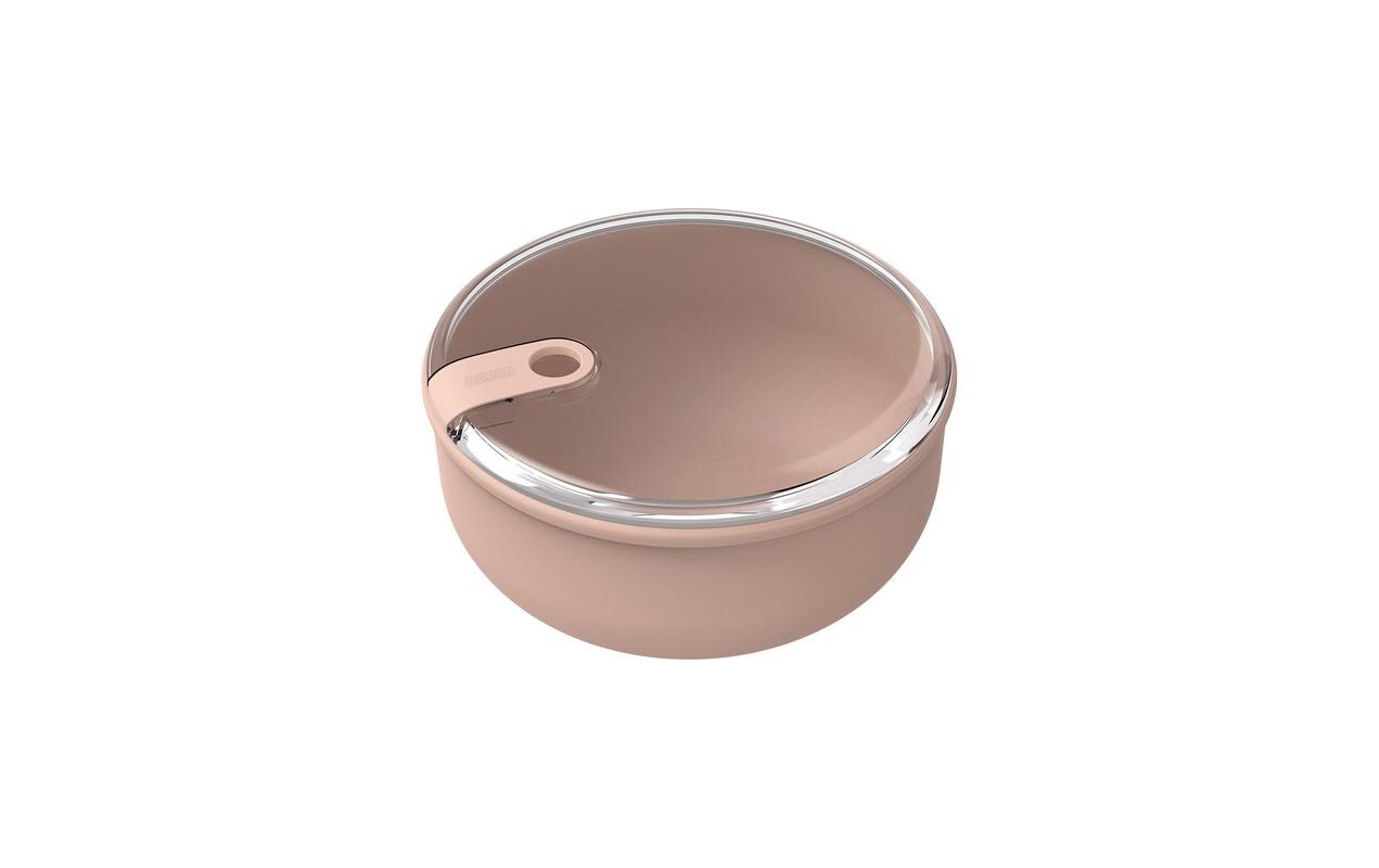 Rotho Lunchbox Ela 0.75 l, Meadow Rosa