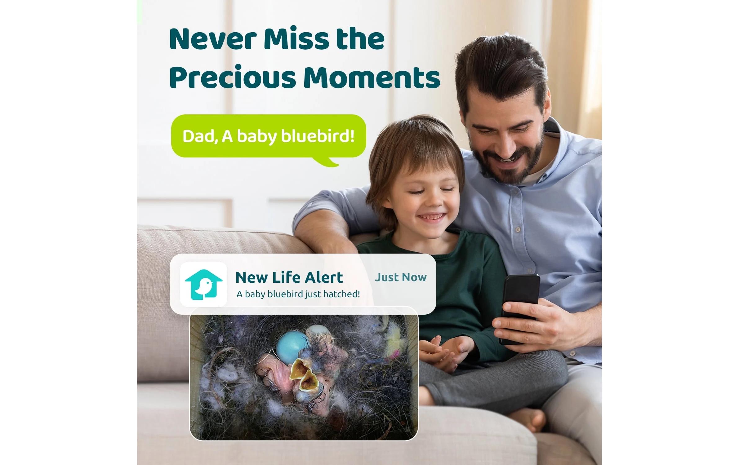 Birdfy Vogelhaus Nistkasten mit Kamera und Solar