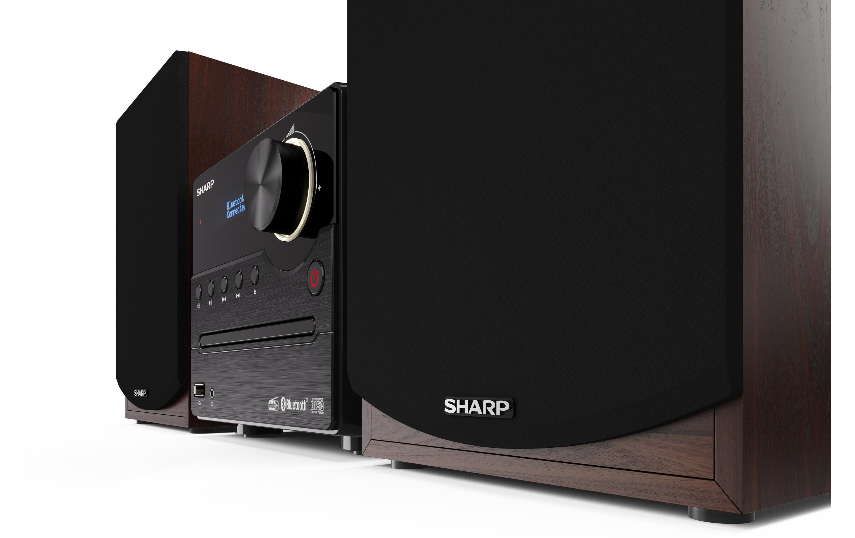 Sharp Musik-System XLB517DBR DAB+/FM Micro System