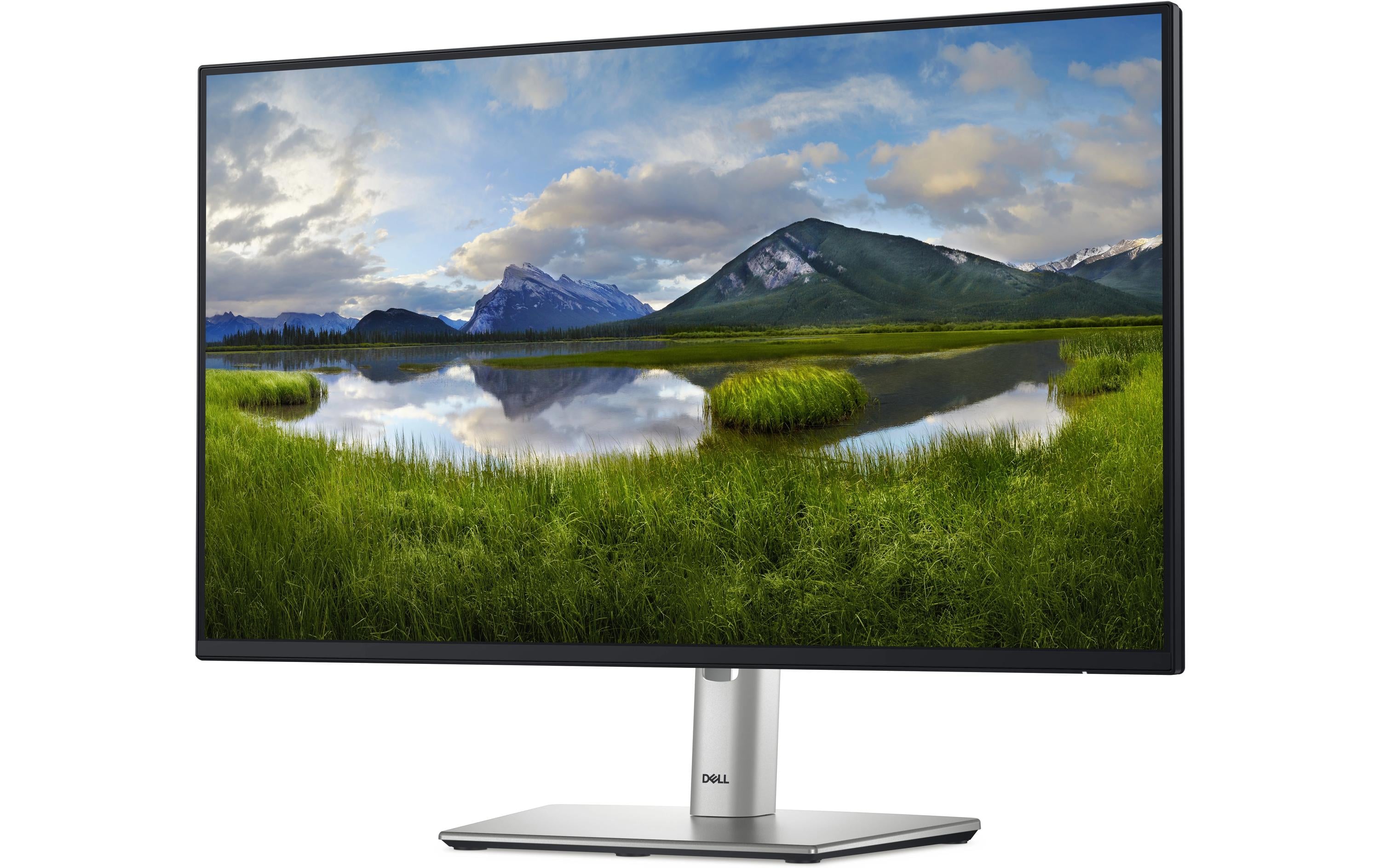 DELL Monitor P2425H DELL Monitor P2425H