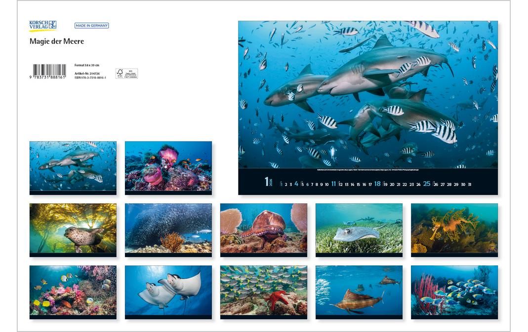 Korsch Verlag Bildkalender Magie der Meere 2026 Korsch Verlag Bildkalender Magie der Meere 2026