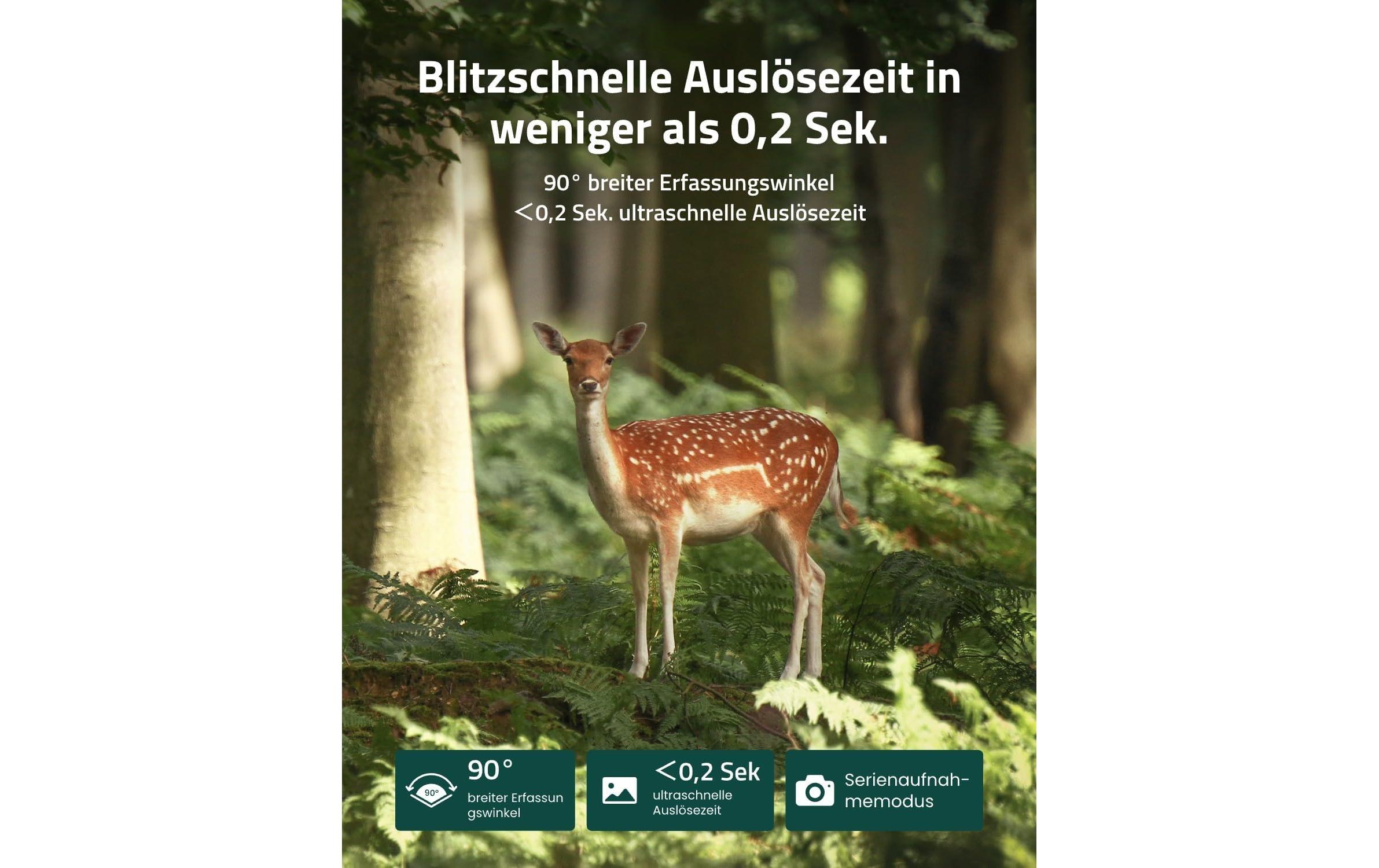 Reolink Wildkamera Camovue Talon Pro 4K 4G LTE