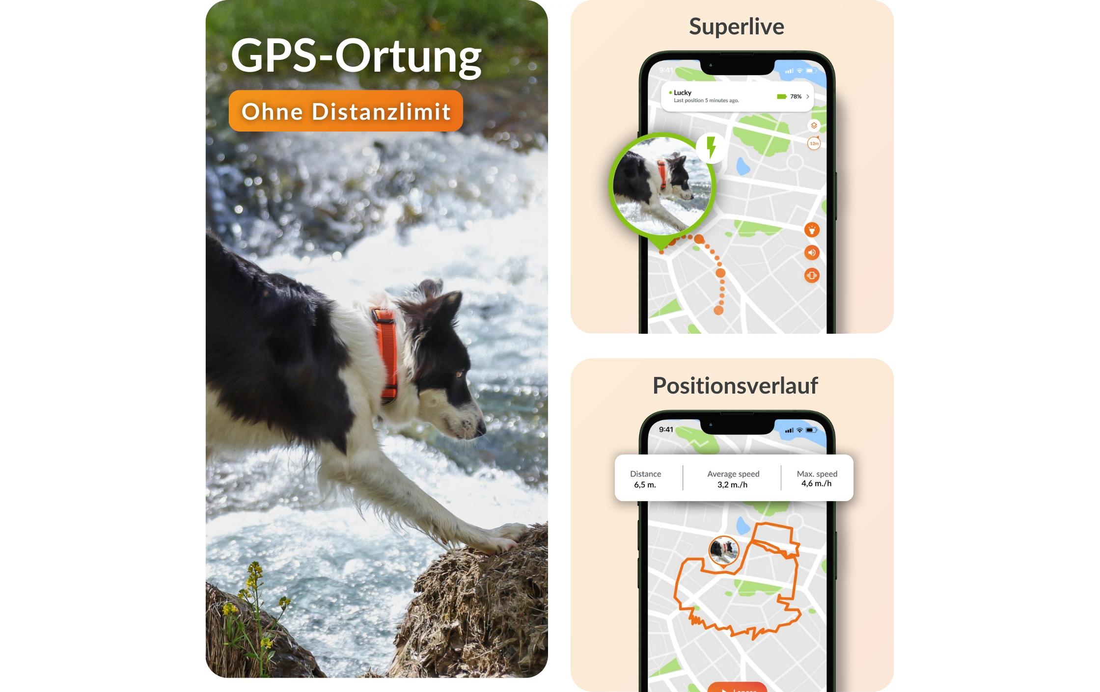 Weenect GPS-Tracker für Hunde XT ohne Halsband