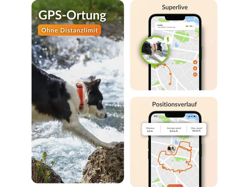 Weenect GPS-Tracker für Hunde XT ohne Halsband Weenect GPS-Tracker für Hunde XT ohne Halsband