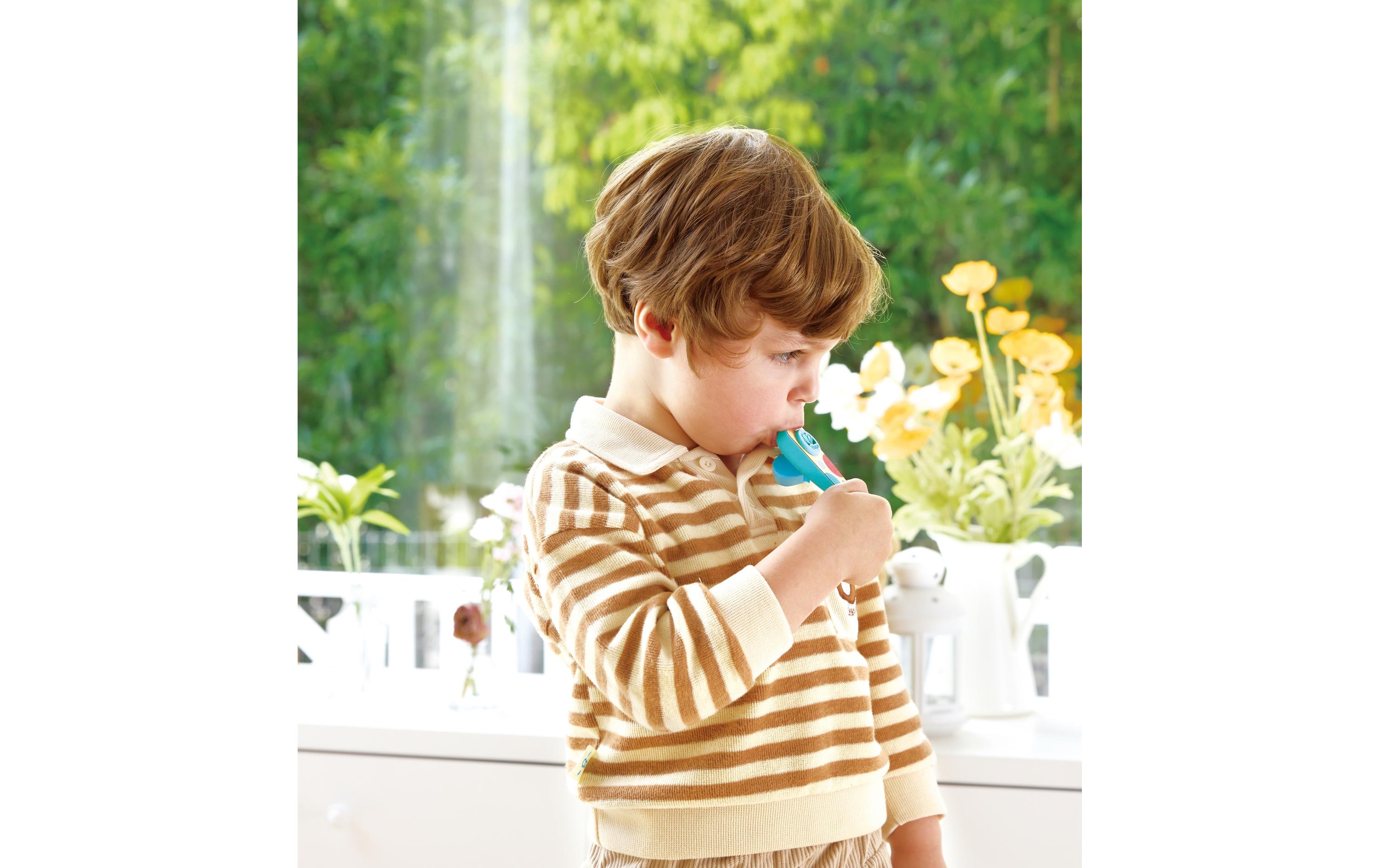 Hape Musikspielzeug Kinder-Kazoo