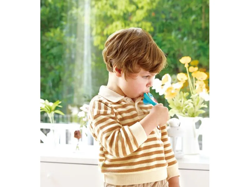 Hape Musikspielzeug Kinder-Kazoo
