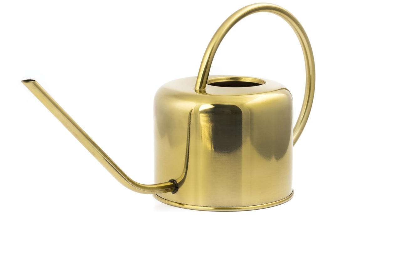 Kikkerland Giesskanne Vintage Gold Kikkerland Giesskanne Vintage Gold