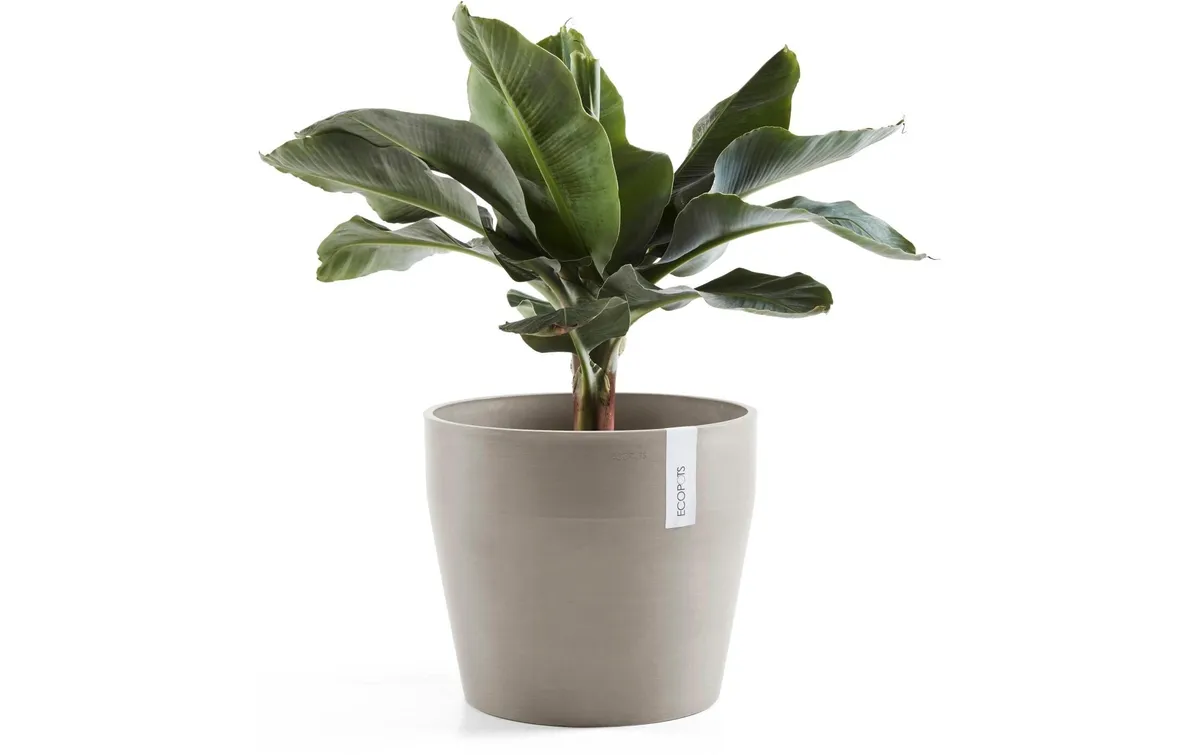 Ecopots Blumentopf Sankara Ø 40 cm Taupe Ecopots Blumentopf Sankara Ø 40 cm Taupe