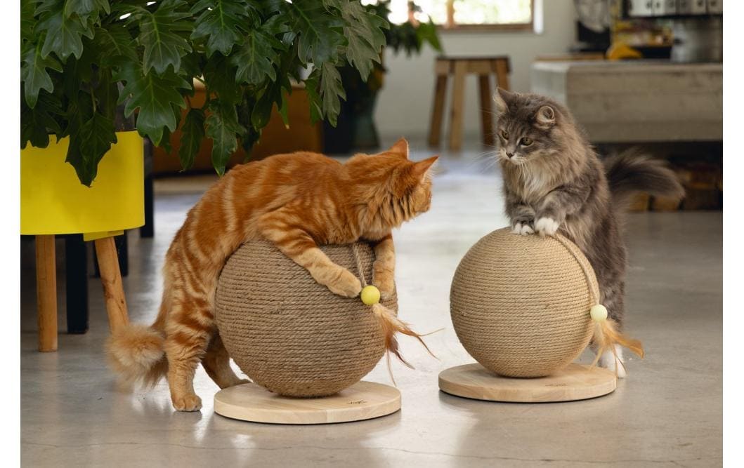 Designed by Lotte Kratzmöbel Balty, Braun