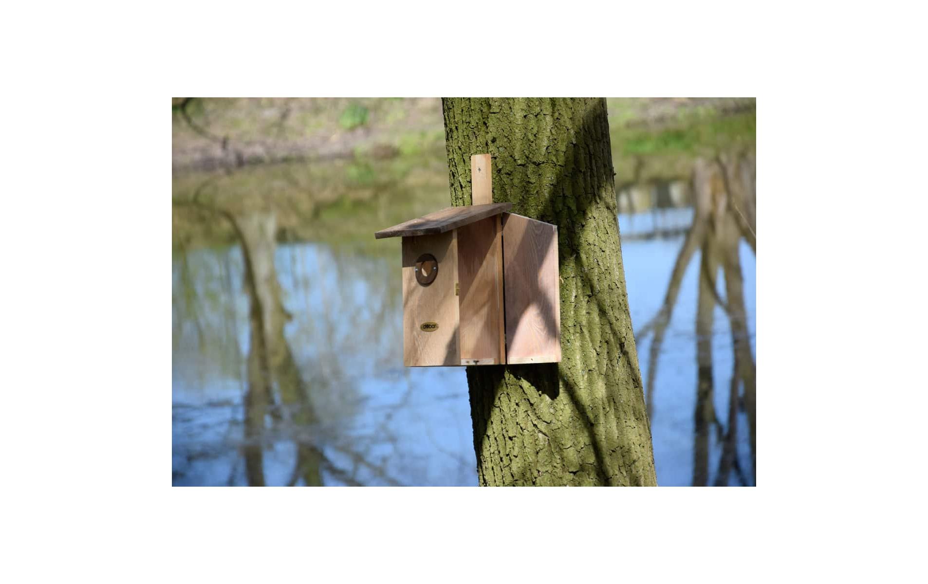 dobar Beobachtungskasten Einblick, 17 x 23 x 39 cm, Braun