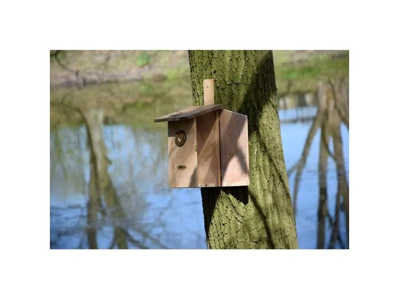 dobar Beobachtungskasten Einblick, 17 x 23 x 39 cm, Braun