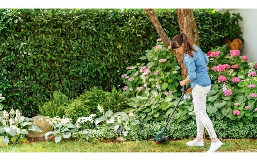 Bosch Akku-Rasentrimmer EasyGrassCut 18V-260 Kit