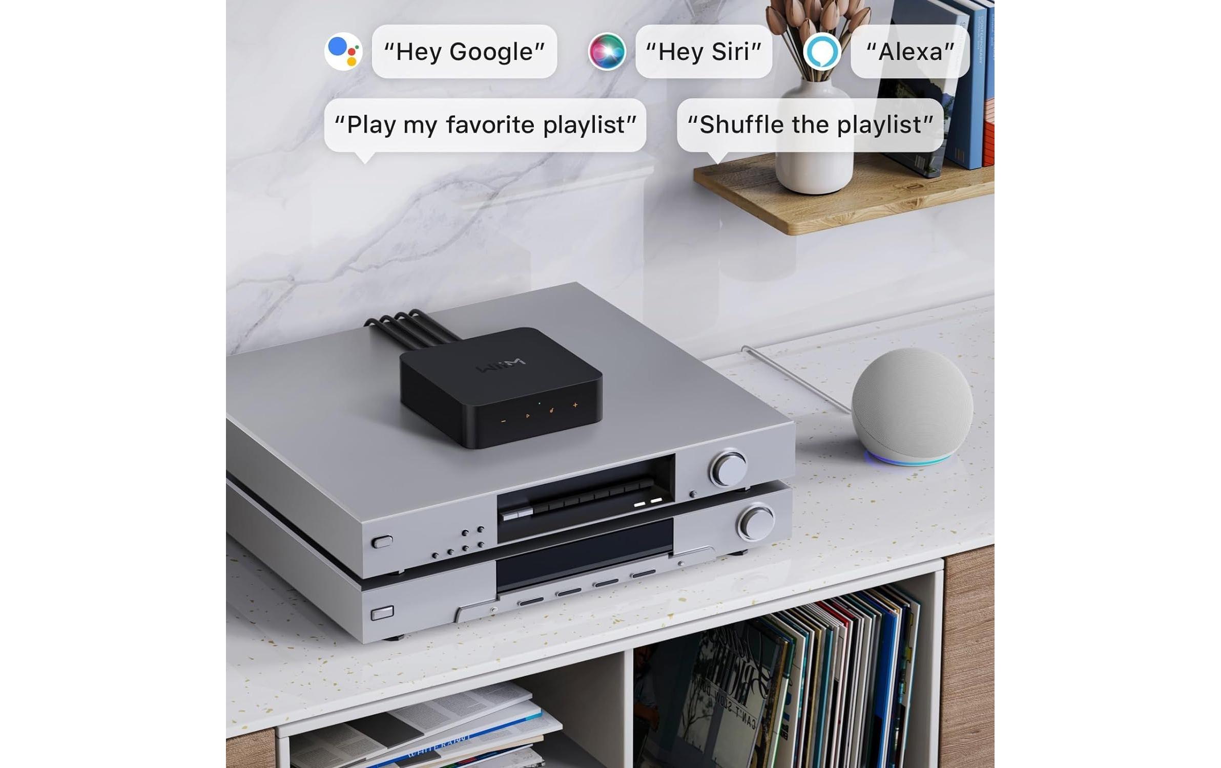 WiiM Netzwerk-Audioplayer Pro Plus Schwarz