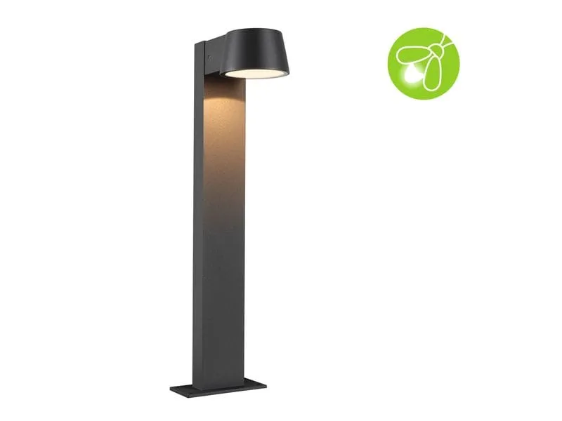 Paulmann LED Pollerleuchte Capera 230 V Anthrazit Paulmann LED Pollerleuchte Capera 230 V Anthrazit