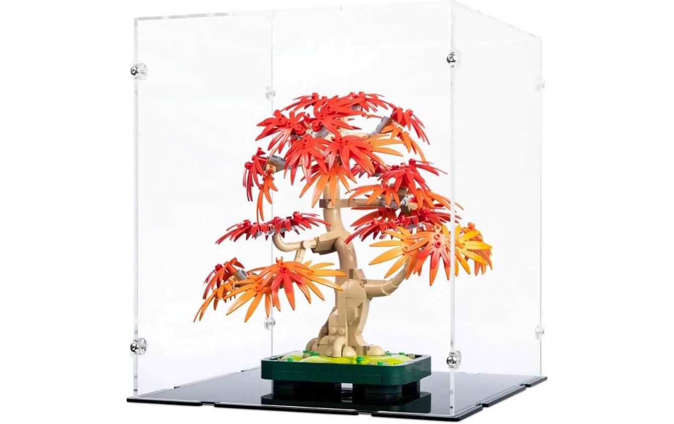 iDisplayit Acryl-Display für LEGO 10348 Japanischer Roter Ahorn