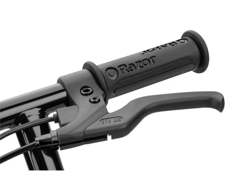 Razor E-Scooter Power Core E90, Green