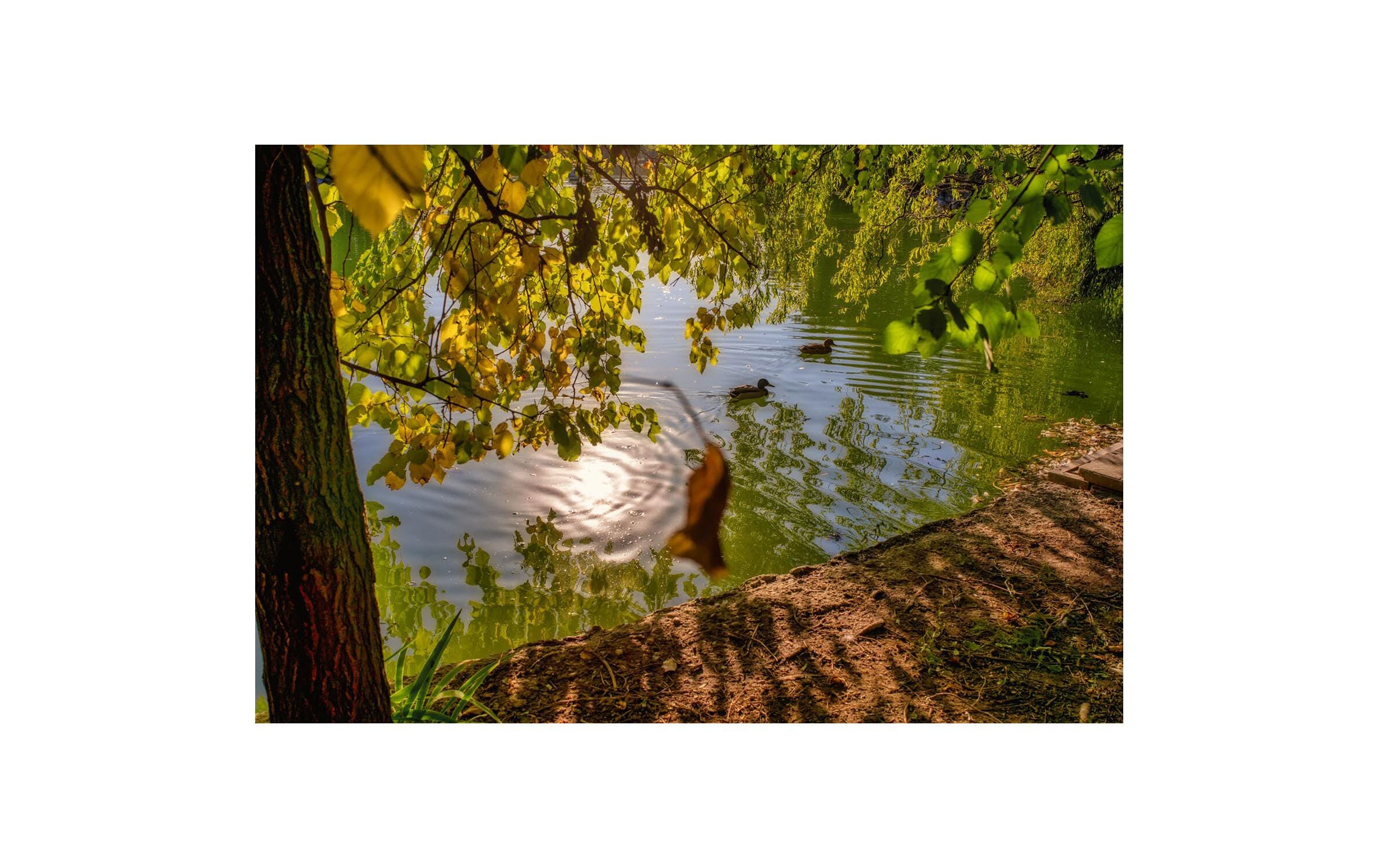 7Artisans Festbrennweite 35mm F/2.0 – Leica M