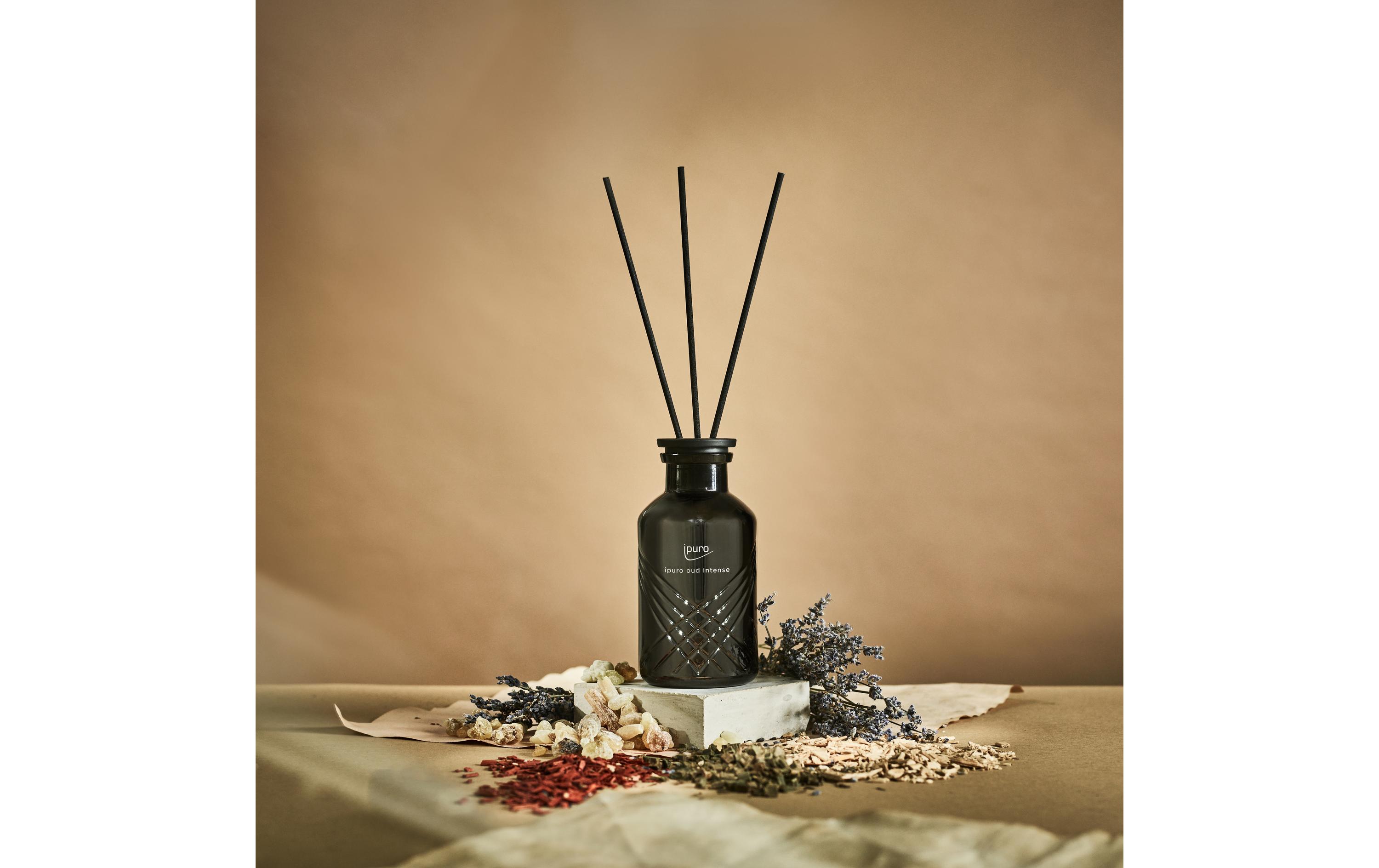 ipuro Duftstäbchen Oud Intense 240 ml