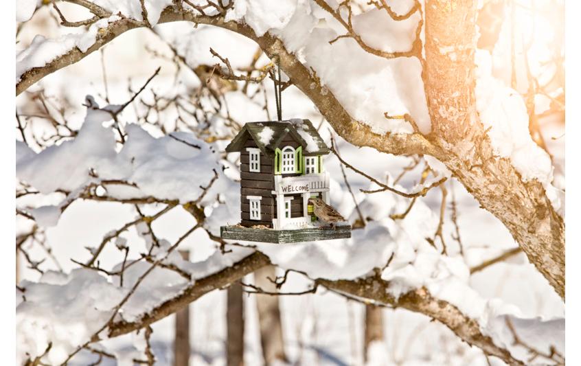 Windhager Vogelhaus Bird Hotel