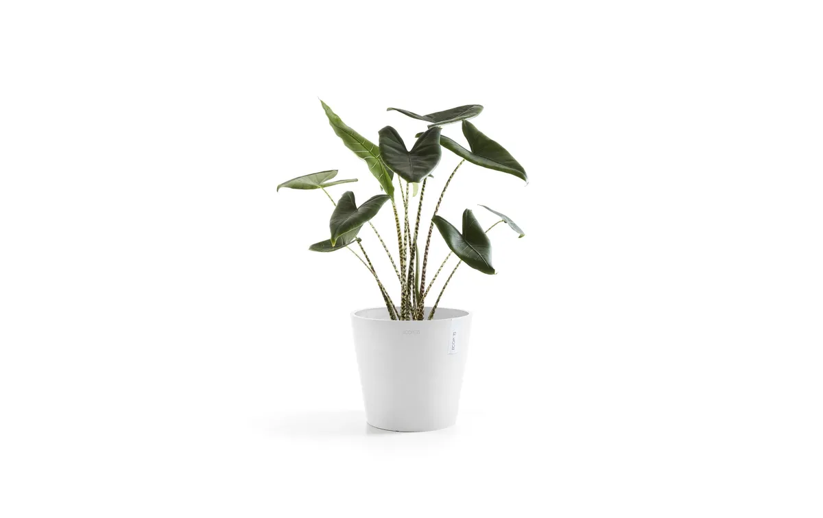 Ecopots Pflanzentopf Amsterdam 30, Weiss
