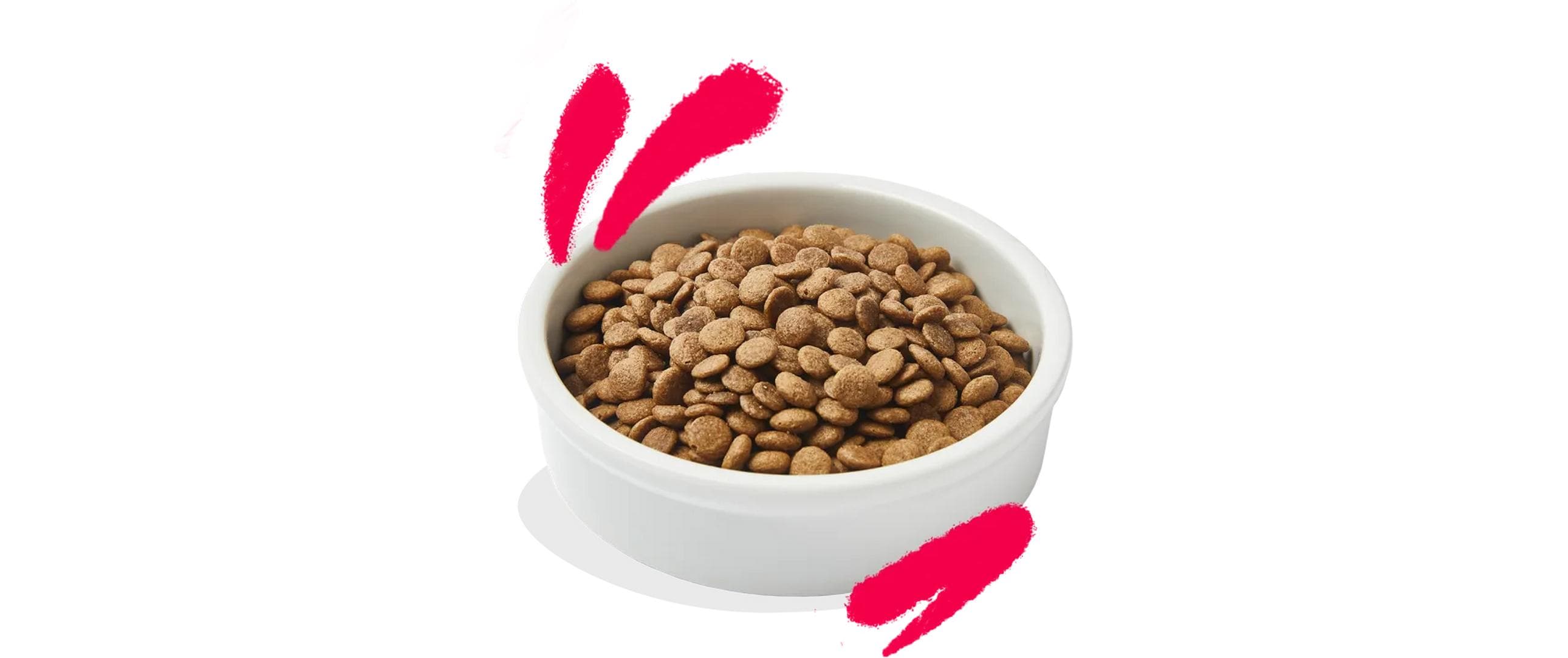 Edgard & Cooper Trockenfutter Senior Huhn & Truthahn, 2 kg