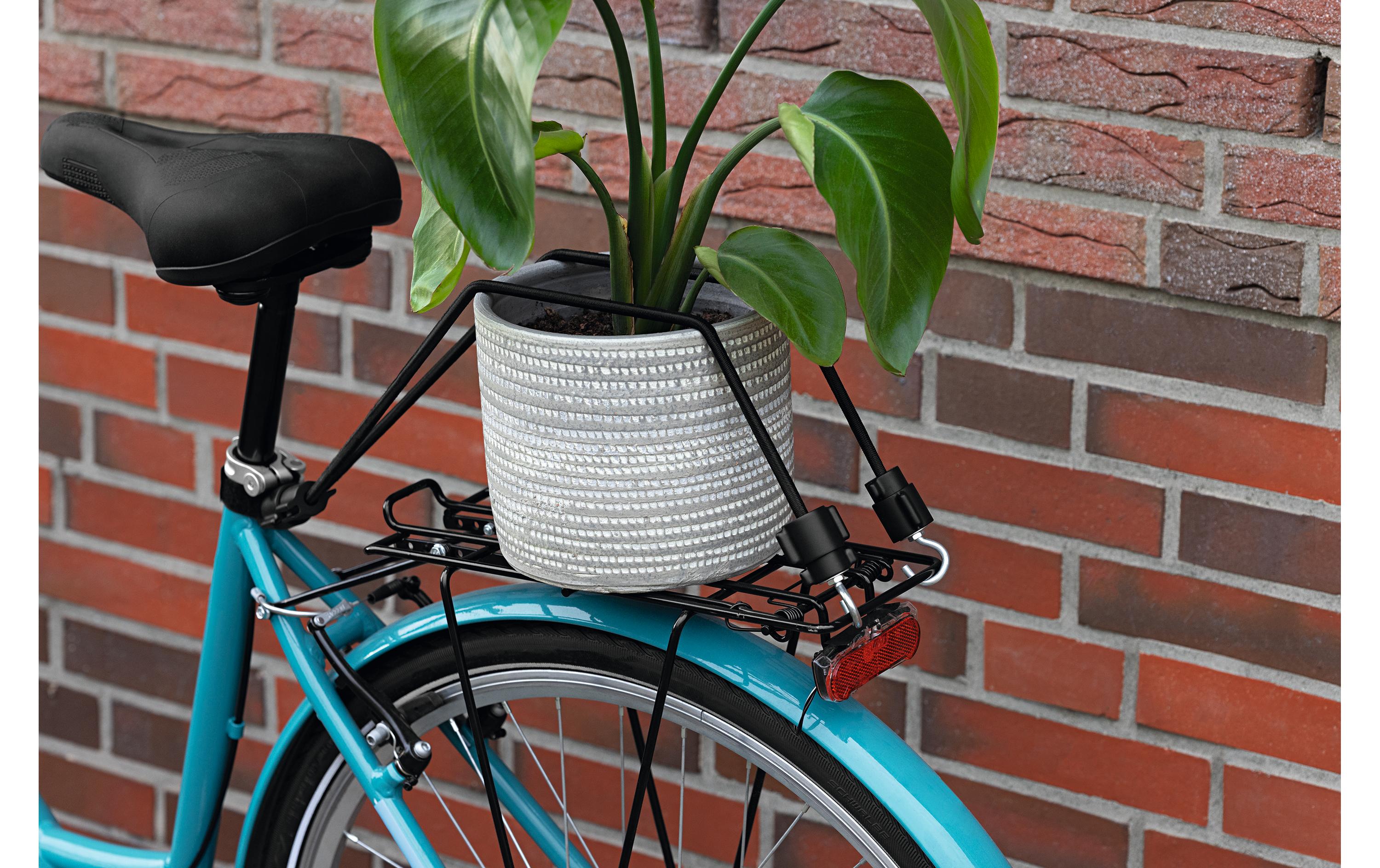 Modulfix Gummi-Spannseilset Modulfix, 100 cm, Schwarz Modulfix Gummi-Spannseilset Modulfix, 100 cm, Schwarz