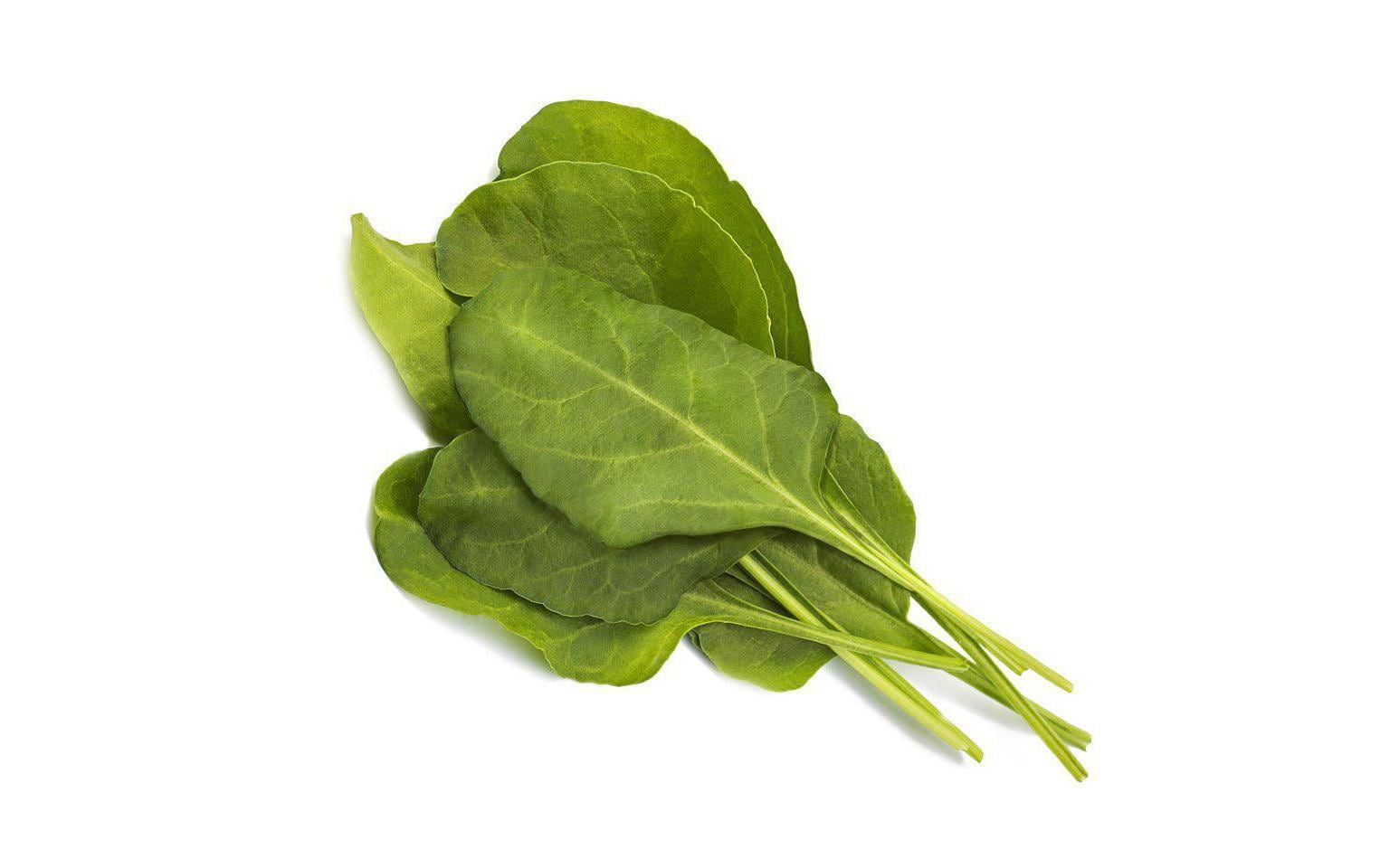 Click and Grow Samen Grüner Mangold Click and Grow Samen Grüner Mangold