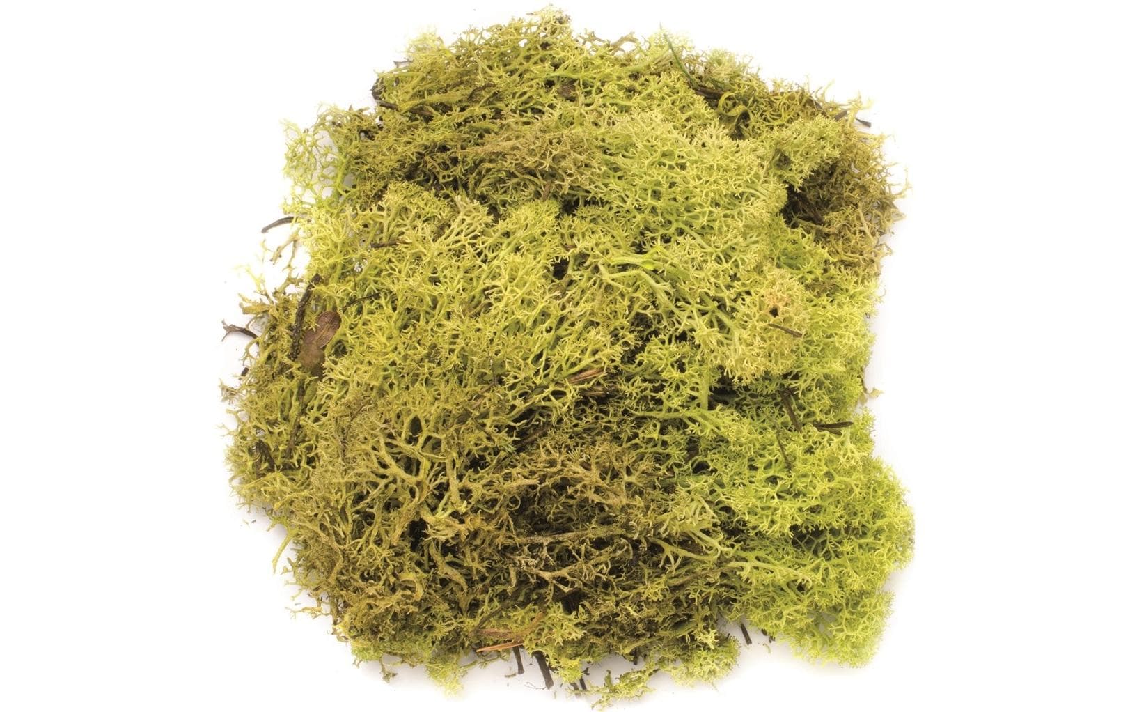 Glorex Moos Island Hellgrün Glorex Moos Island Hellgrün