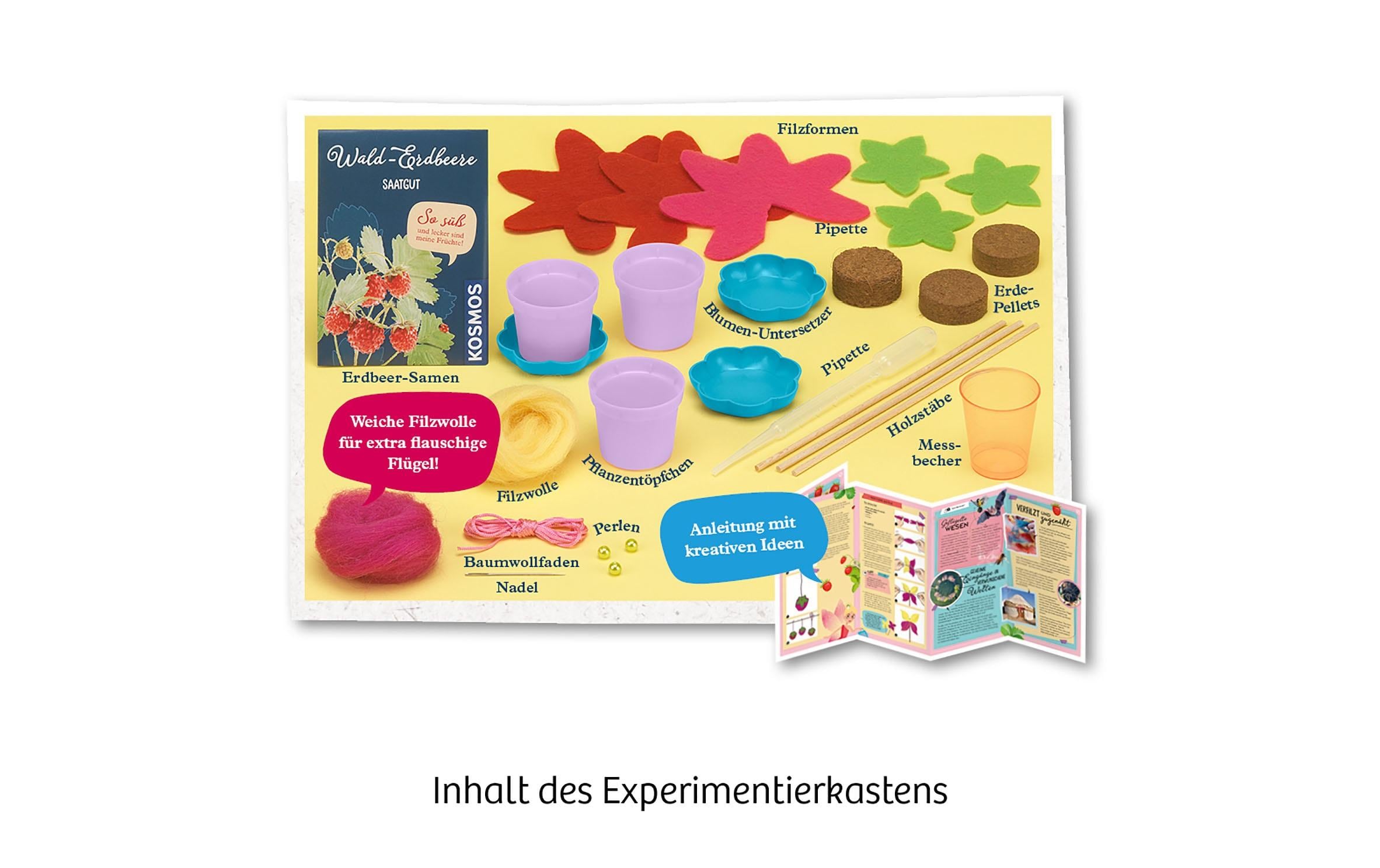 Kosmos Experimentierkasten Feen-Erdbeeren
