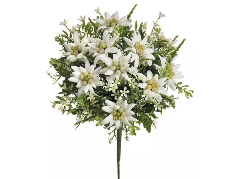 Botanic-Haus Kunstblume Edelweiss-Strauss 29 cm Botanic-Haus Kunstblume Edelweiss-Strauss 29 cm