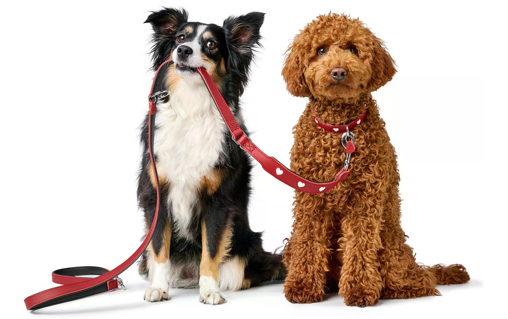 Hunter Verstellbare Führleine Love, 13/200, Rot/Schwarz