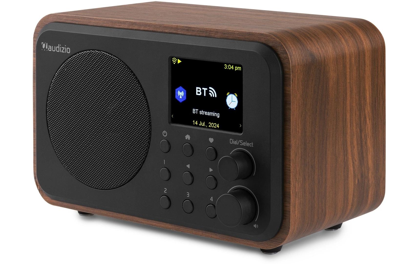 Audizio DAB+ Radio Vicenza Braun