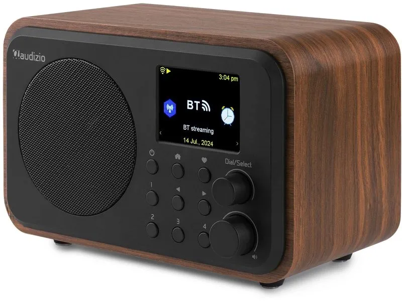 Audizio DAB+ Radio Vicenza Braun