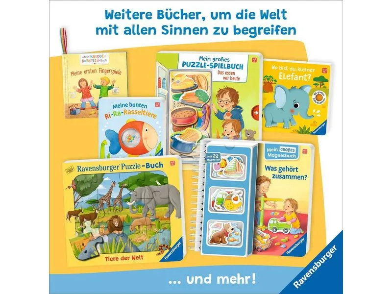 BRIO Vorlese-Spielbuch mit BRIO-Zug und Gleisspuren BRIO Vorlese-Spielbuch mit BRIO-Zug und Gleisspuren